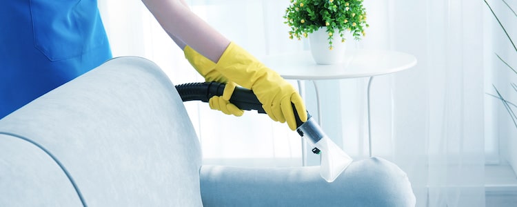 Best Upholstery Cleaning Mulgrave