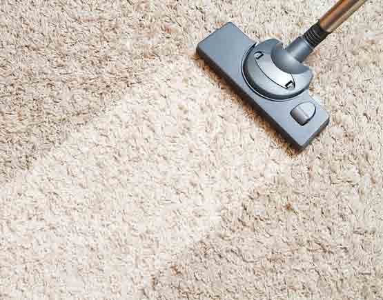 Carpet Cleaning Mulgrave Services